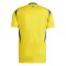 24-25 Al Nassr Home Jersey